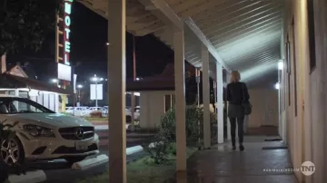 Motel as seen on Animal Kingdom (S02E09)