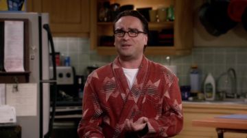 La robe de chambre de Leonard Hofstadter (Johnny Galecki) dans The Big Bang Theory S02E09