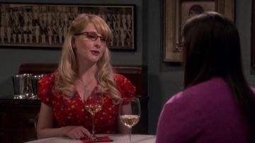 The dress of Bernadette Rostenkowski (Melissa Rauch) The Big Bang Theory S09E04