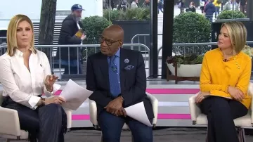 Sudadera Talbots Ruffle Trim Raglan usada por Dylan Dreyer como se ve en Today el 11 de abril de 2025