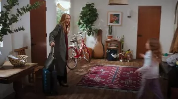 Equipaje de mano rígido de Amazon Basics usado por Teddy Altman (Kim Raver) como se ve en Grey's Anatomy (T21E14)