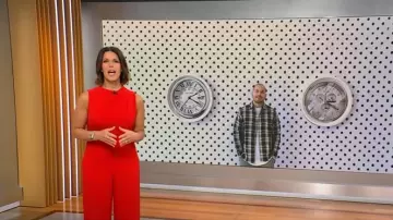 Black Halo Corrine Jumpsuit in Wildfire worn by Dana Jacobson as seen in CBS Mornings on May 4, 2025