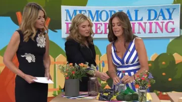 Anthropologie V-Neck Sleeveless Fit & Flare Midi Dress worn by Monica Mangini as seen in Today with Jenna & Friends on May 20, 2025