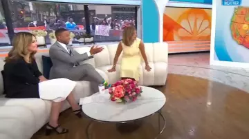 Jimmy Choo Hawke Sandal worn by Savannah Guthrie as seen in Today on May 28, 2025
