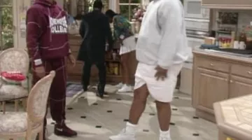 The pair of Nike Air Bound of Will in The Prince of Bel-Air