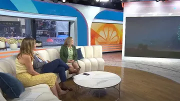 Sandalia cósmica de Gianvito Rossi usada por Savannah Guthrie como se ve en Today el 27 de junio de 2025