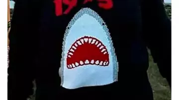 Shark 1975 Print Black Sweater worn by Self (Al Roker) in Today (S48)