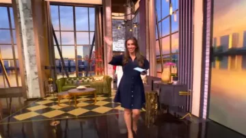 Cinq a Sept Monty Mini-Vestido Camisero Plisado usado por Alyssa Farah Griffin como se ve en The View el 18 de julio de 2025