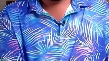 Good Morning America Adam Sandler Camisa estampada con hojas azules de Adam Sandler en Good Morning America