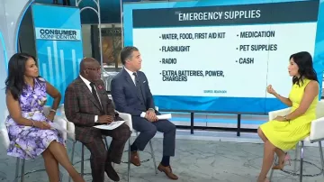 Ted Baker Balieey Pleated Mini Dress worn by Vicky Nguyen as seen in Today on July 24, 2025