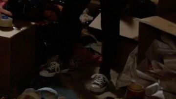 The pair of Converse sneakers black seen in New Girl