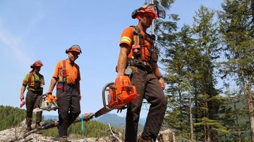 Boots Timberland in Ax Men - Danger in the forest (season 4 episode 7)