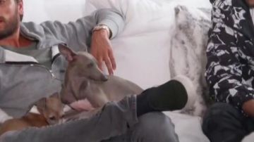 The A. P. C. Ted Slip-On in Keeping Up With The Kardashian