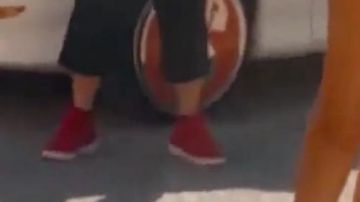 SPRING BREAKERS x SUPRA SUEDE SKYTOP