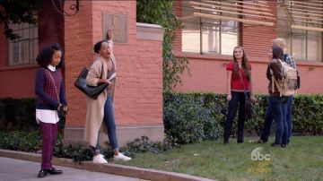 La paire de Adidas Stan Smith de Rainbow dans Black-ish