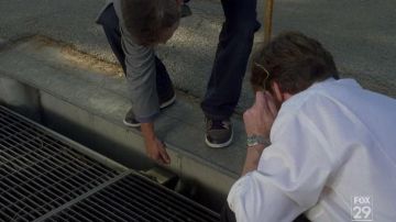 The pair of Nike court force low of Hugh Laurie in Dr. House