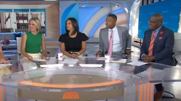 Ulla Johnson Edith Ruffle Sleeve Knit Top worn by Laura Jarrett as seen in Today on August 13, 2025