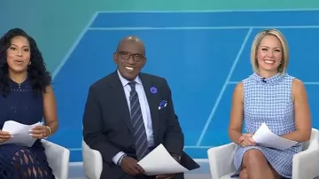 Eliza J Sleeveless Mock Neck Tweed A-Line Dress worn by Dylan Dreyer as seen in Today on September 8, 2025