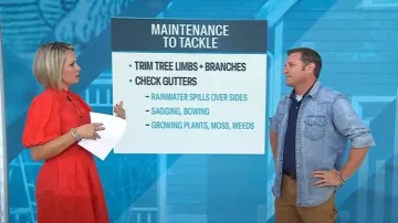 Eliza J Floral Embroidered Puff Sleeve Cotton Fit Dress worn by Dylan Dreyer as seen in Today on September 10, 2025