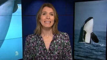 Me + Em Trailing Flower Print Swing Maxi Dress worn by Molly Hunter as seen in Today on September 17, 2025