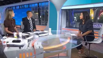 Frame The Gillian Puff Sleeve Silk Blouse worn by Laura Jarrett as seen in Today on September 23, 2025