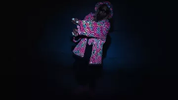 Pantuflas de leopardo arcoíris neón de Natasha Zinko usadas por Lil Wayne en 2 Chainz, Lil Wayne - Resumen de la historia (video oficial)