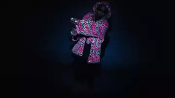 Pantuflas de leopardo arcoíris neón de Natasha Zinko usadas por Lil Wayne en 2 Chainz, Lil Wayne - Resumen de la historia (video oficial)