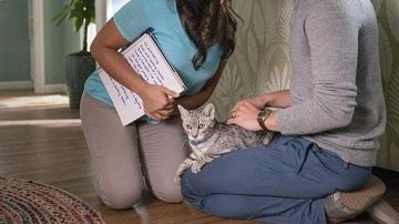 The Vans shoes of Michael in Jane The Virgin