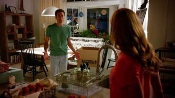Camiseta J.Crew verde de Evan Roth Lawson en Royal Pains S07E04