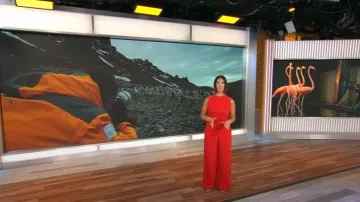 Combinaison Corrine Black Halo portée par Dana Jacobson telle que vue dans CBS Mornings le 5 octobre 2025