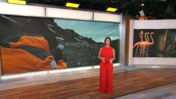 Combinaison Corrine Black Halo portée par Dana Jacobson telle que vue dans CBS Mornings le 5 octobre 2025