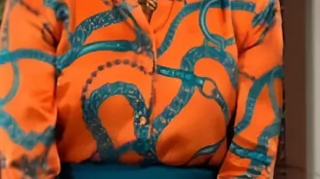 Camisa estampada con cadena usada por Nikki Reed Newman (Melody Thomas Scott) en The Young and the Restless