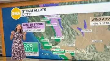 Maggy London Floral Mock Neck Day Dress worn by Ginger Zee as seen in Good Morning America on October 14, 2025