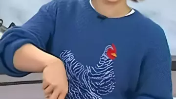 Suéter estampado de pollo Today Molly Yeh