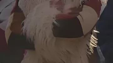 Fur-Lined Checkered Long Coat worn by Mary "Sugar" Jones (Joanna Higson) in Brassic