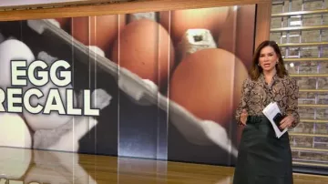 Altuzarra Snake Print Tie Neck Blouse worn by Rebecca Jarvis as seen in Good Morning America on October 23, 2025