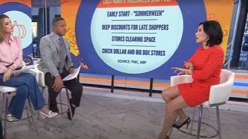 Kate Spade Ashby Dress worn by Vicky Nguyen as seen in Today on October 24, 2025