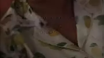 Ensemble court imprimé citron porté par Mindy Chen (Ashley Park) dans Emily in Paris