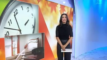 Maeve The Colette Pantalones anchos de cuero sintético de longitud completa usados por Emilie Ikeda como se ve en Today el 31 de octubre de 2025