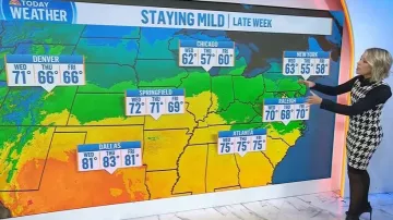 Vestido de suéter de pata de gallo sin mangas de Polo Ralph Lauren usado por Dylan Dreyer como se ve en Today el 3 de noviembre de 2025