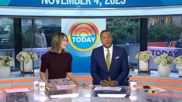 Pull à manches bouffantes froncé porté par Savannah Guthrie comme on le voit dans Today le 4 novembre 2025