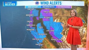 Eliza J Floral Embroidered Puff Sleeve Cotton Fit & Flare Dress worn by Dylan Dreyer as seen in Today on November 4, 2025