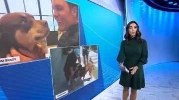 Vince Camuto Mock-Neck Puff Sleeve Dress worn by Emilie Ikeda as seen in Today on November 5, 2025