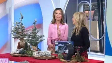 Zara Crew Neck Button Cuff Sweater worn by Chassie Post as seen in Today on November 7, 2025