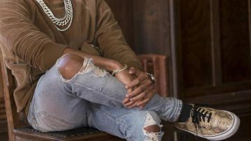 The Sneakers Vans Authentic Snake in Empire