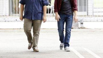 The Vans shoes Old Skool grey in Modern family