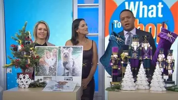 L'Agence Halia Belted Faux Leather Midi Dress worn by Janelle Cohen as seen in Today on November 12, 2025