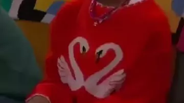 Pull Swan Heart porté par Taylor Cora (Hiver) dans la série télévisée Wizards Beyond Waverly Place 2025