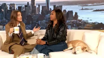 J. Crew English Silk Striped Tie worn by Drew Barrymore as seen in The Drew Barrymore Show on November 11, 2025