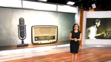 DKNY Ruffled Cap Sleeves Sheath Dress worn by Michelle Miller as seen in CBS Mornings on  November 16, 2025